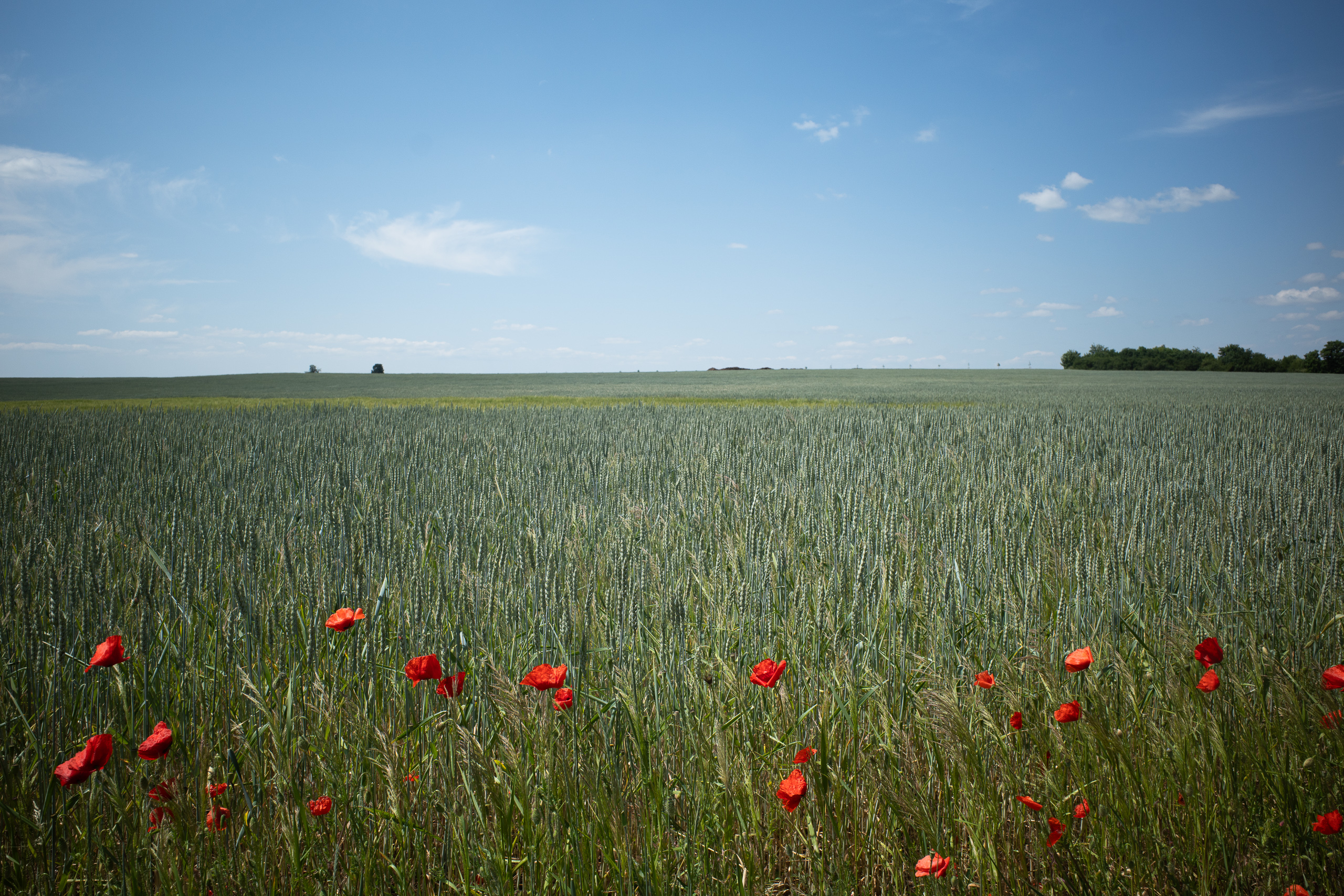 Stille Nebenstraßen entlang der Elbe